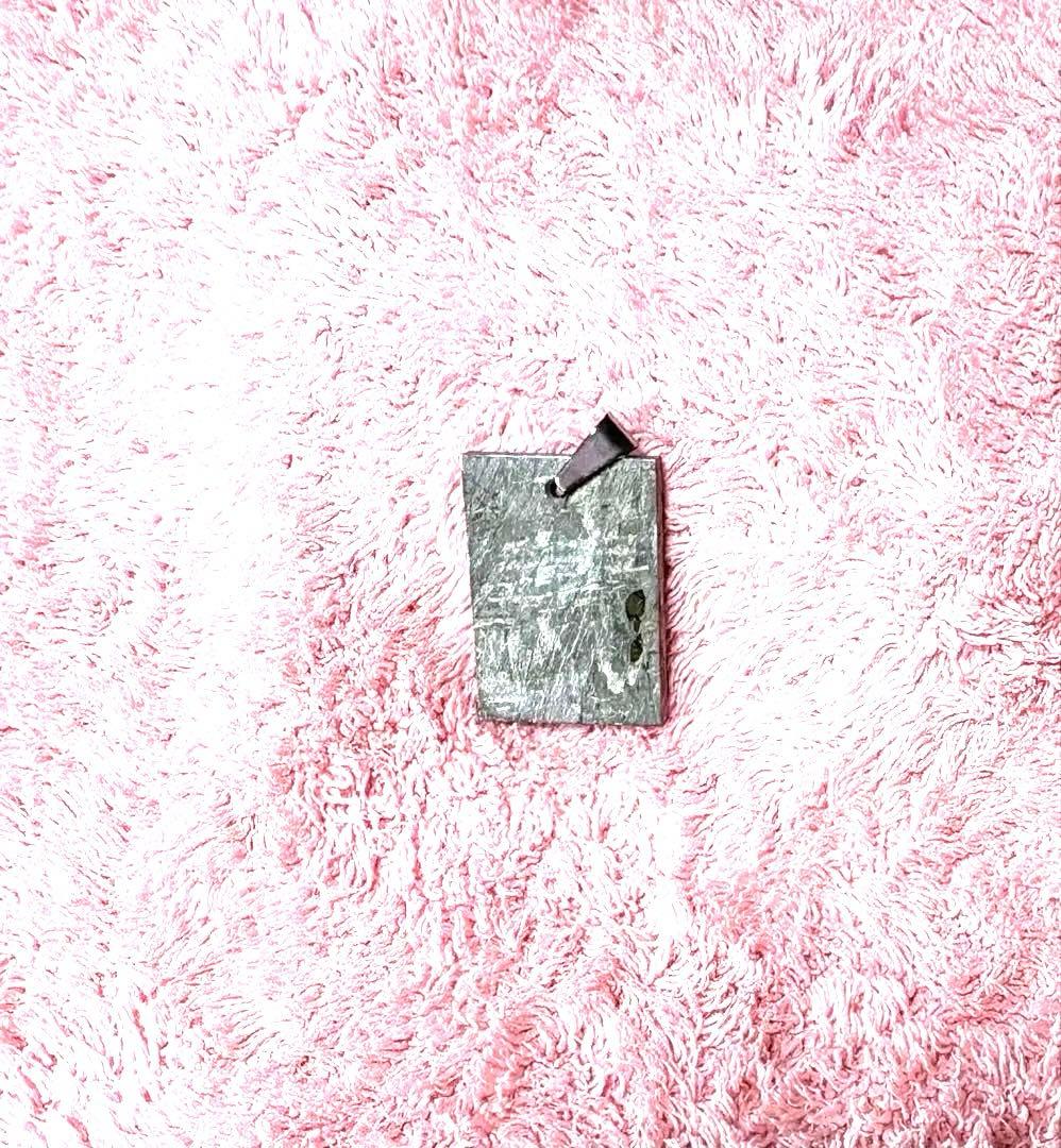 【半額！】ギベオン隕石　ペンダントトップ　トロイライト入りチェーン　セット