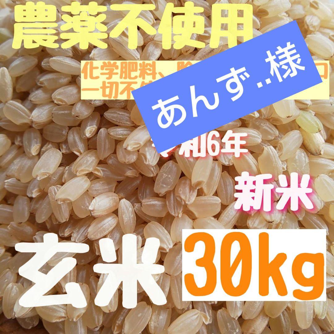 あんず..様 玄米 30kg