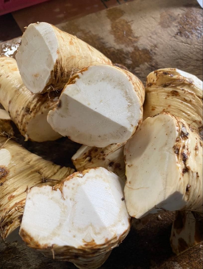 旨辛‼️北海道山ワサビ太物　5kg