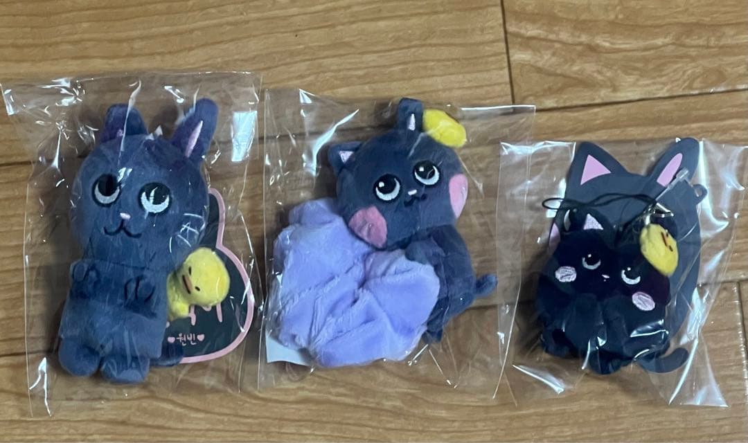 RIIZE ウォンビン トニャンドク 3点セット