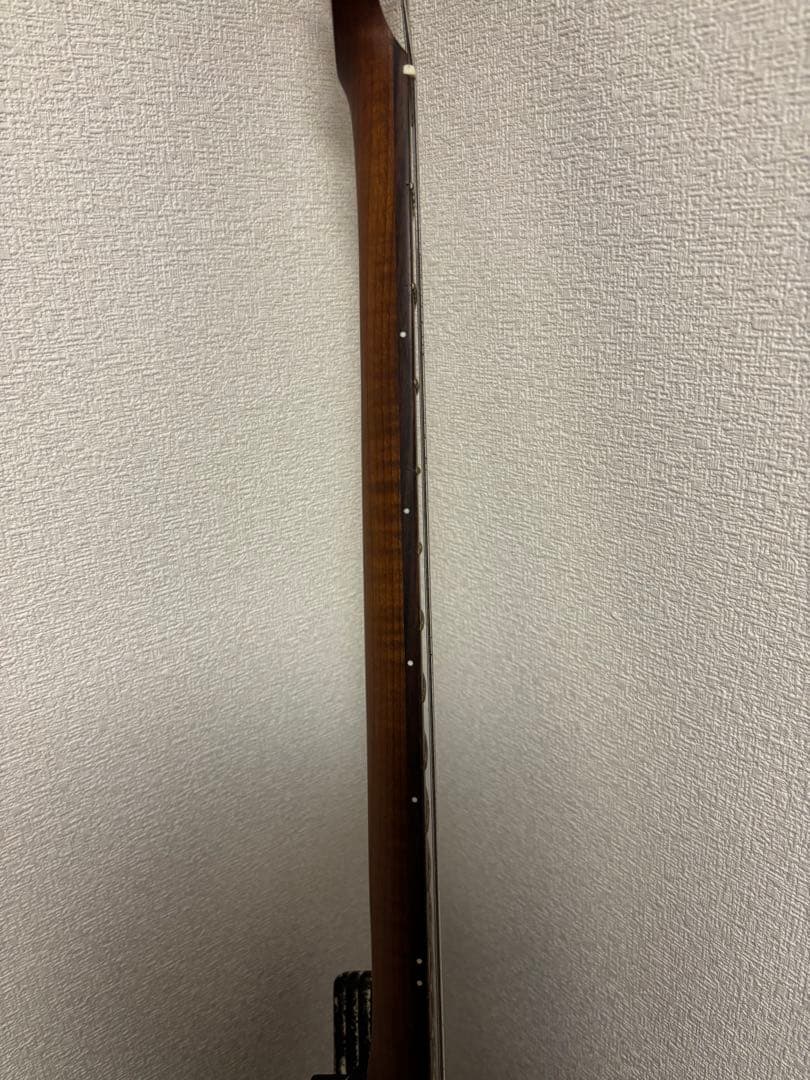 Bacchus SGS‑ASH RSM