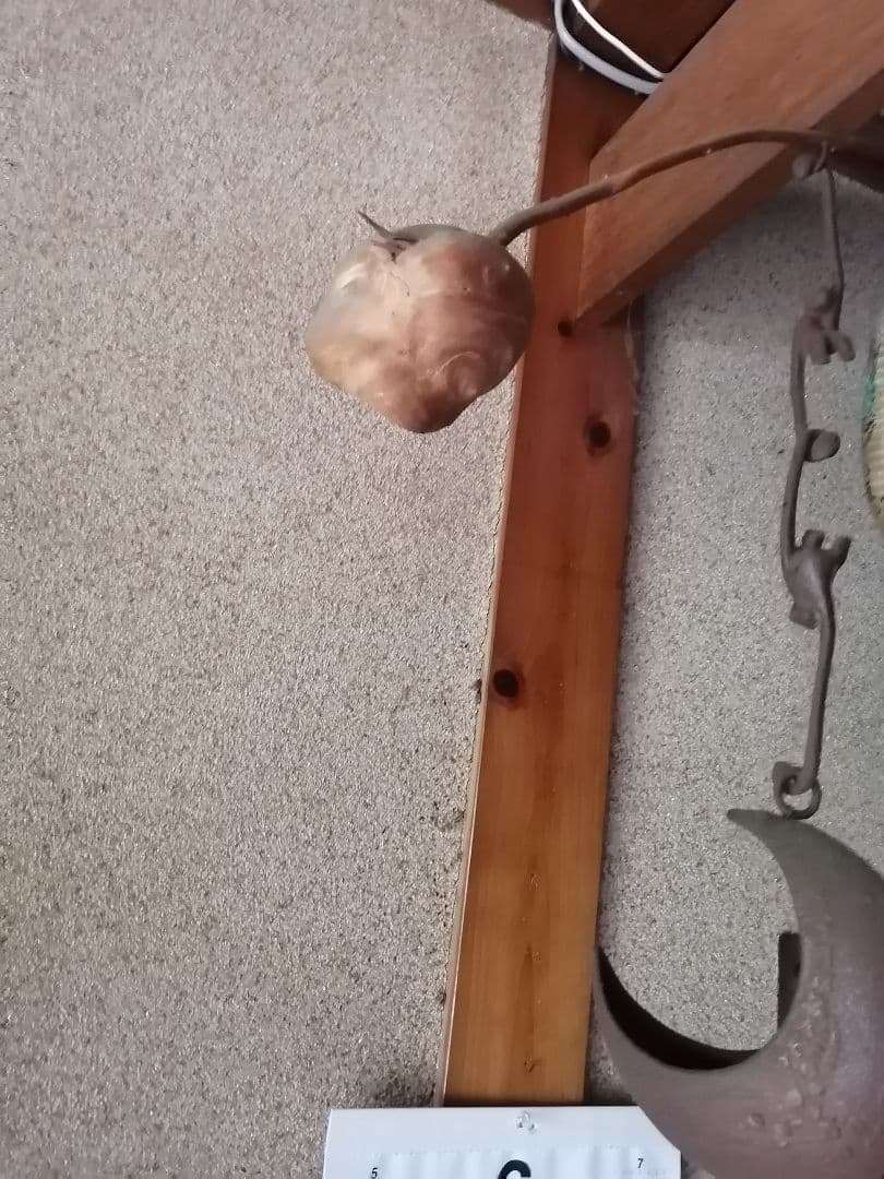 最終値下げ【南部鉄器★昭和レトロ】三日月型吊り花瓶 　希少品　非売品‼️