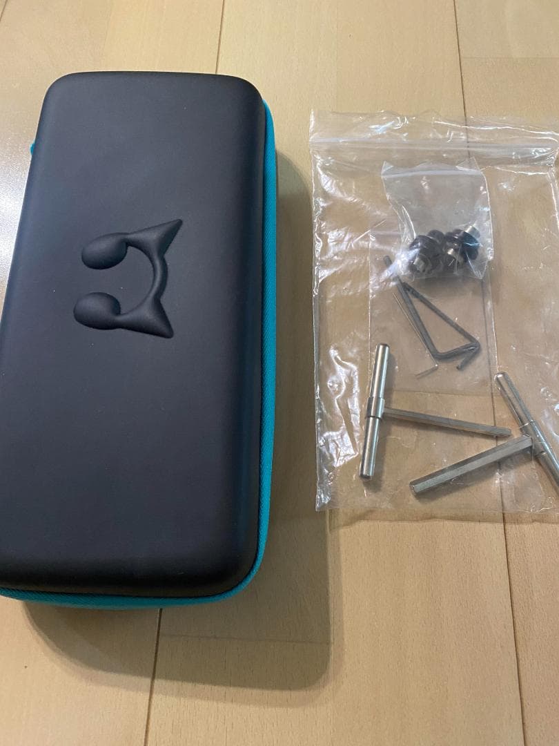 【バンドリ朝日六花モデル】Strandberg 7弦ギター Boden J7