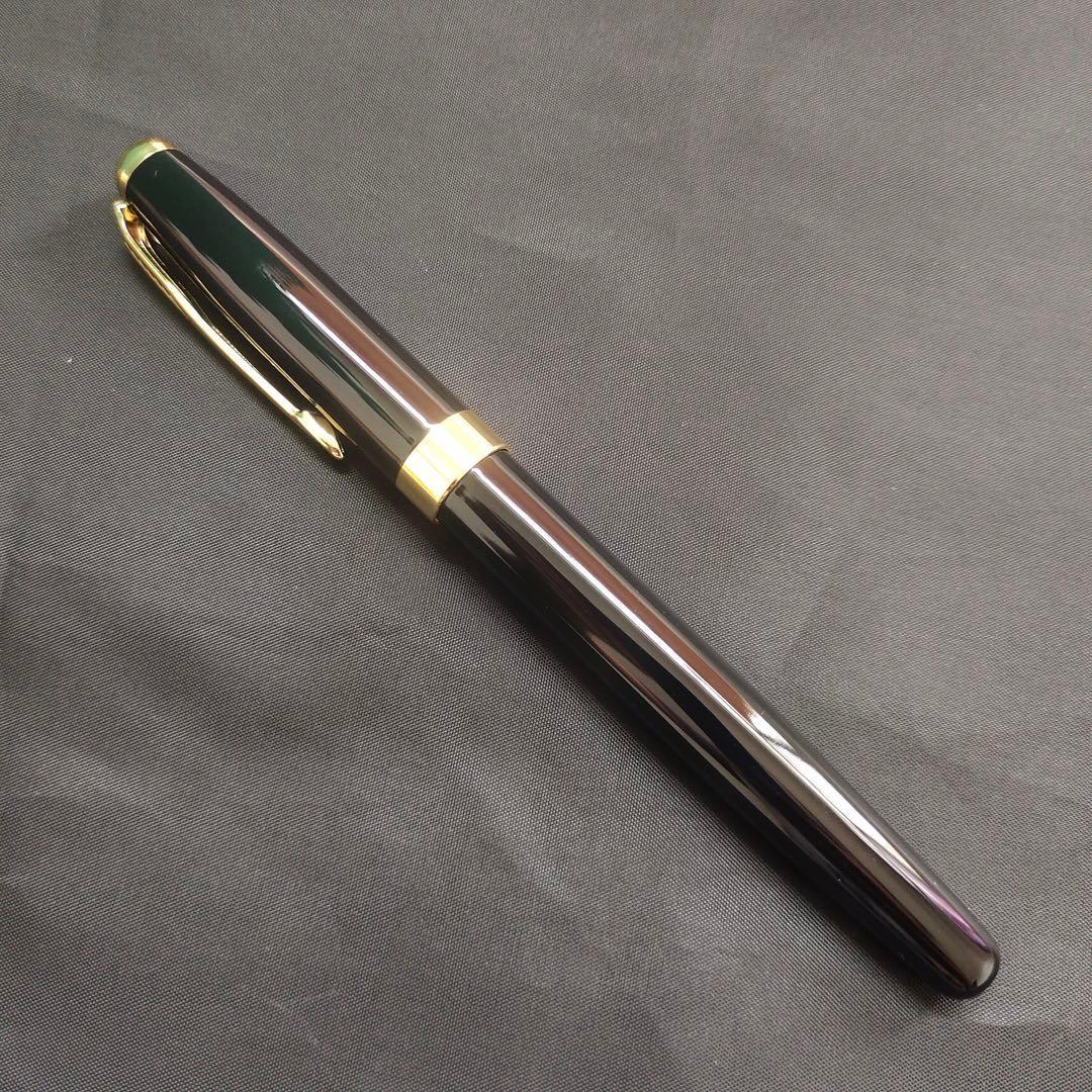 @黒い万年筆 金メッキ装飾6