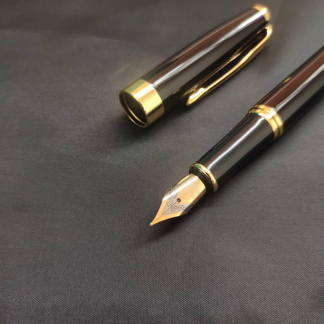@黒い万年筆 金メッキ装飾6