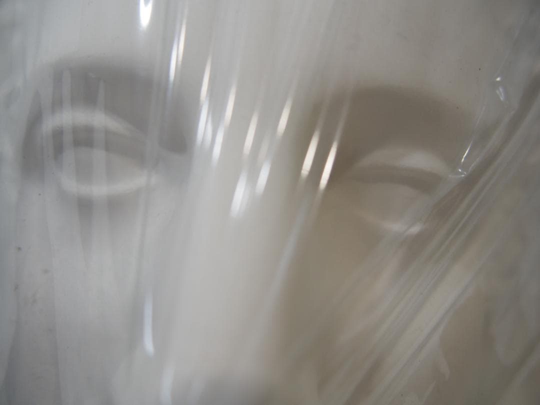 【石膏像】ミロのヴィーナス/美術 西洋彫刻 アート 置物 首像/新品・未使用