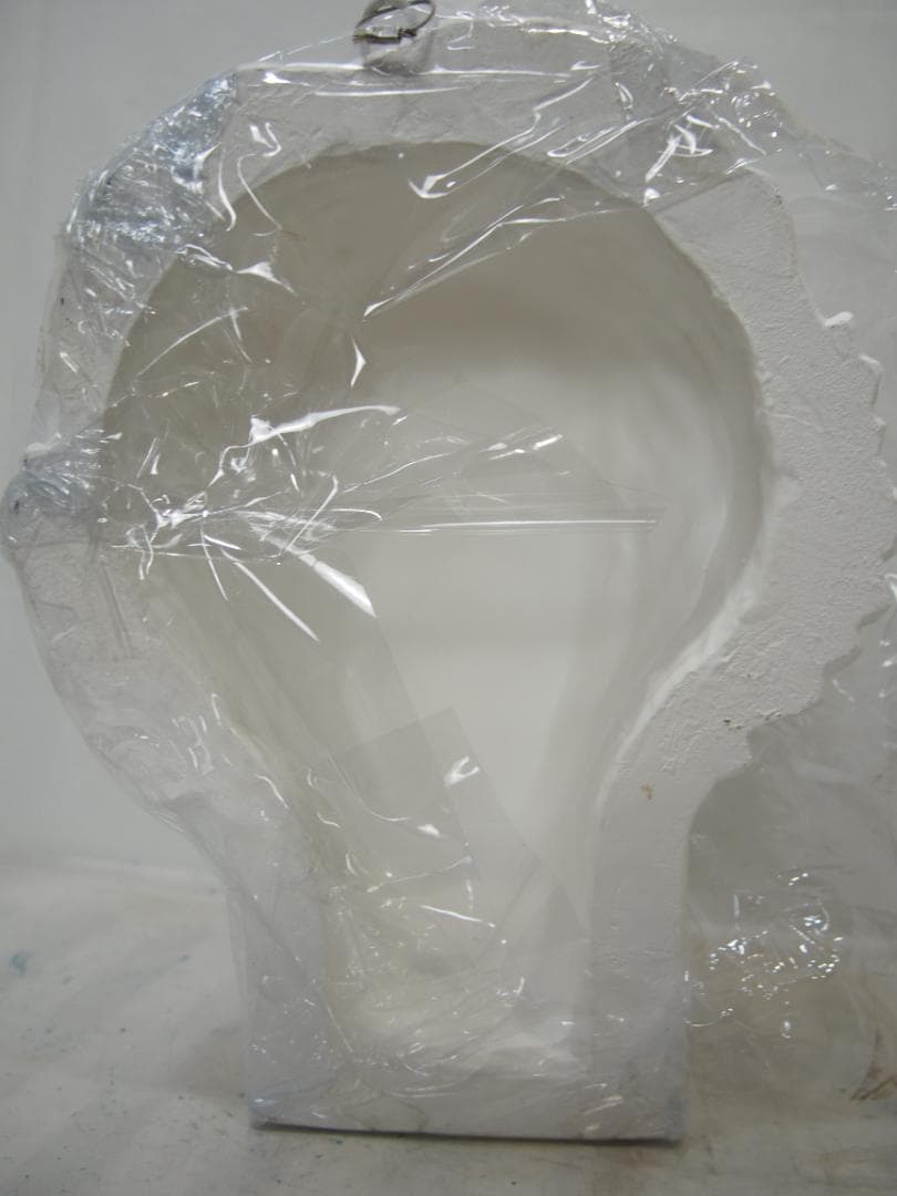 【石膏像】ミロのヴィーナス/美術 西洋彫刻 アート 置物 首像/新品・未使用