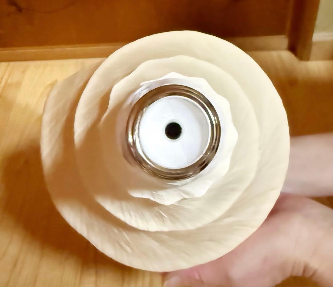 綺麗な特大45㎝アラフラオオニシ 法螺貝　ほら貝　ホラガイ