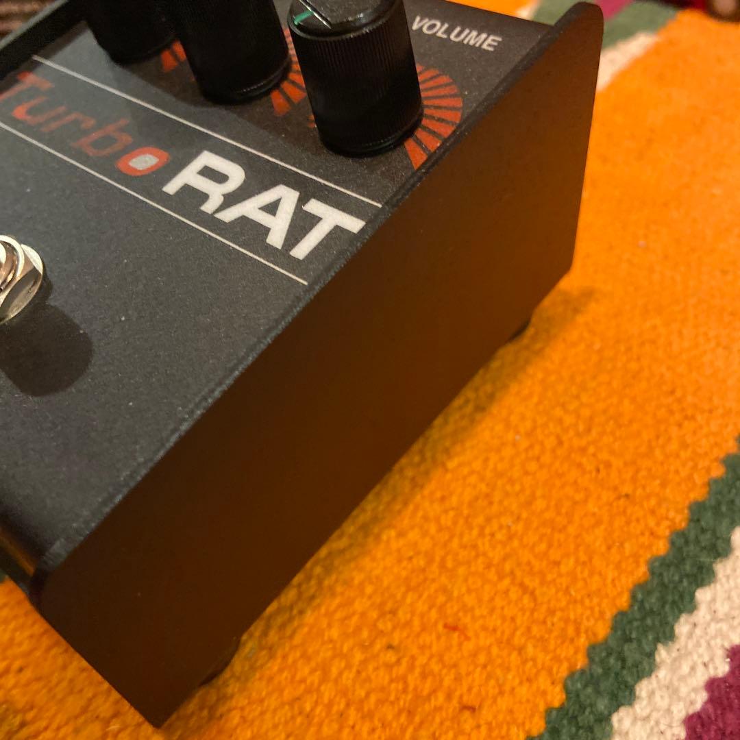 ProCo Turbo RAT 現行品　極美品