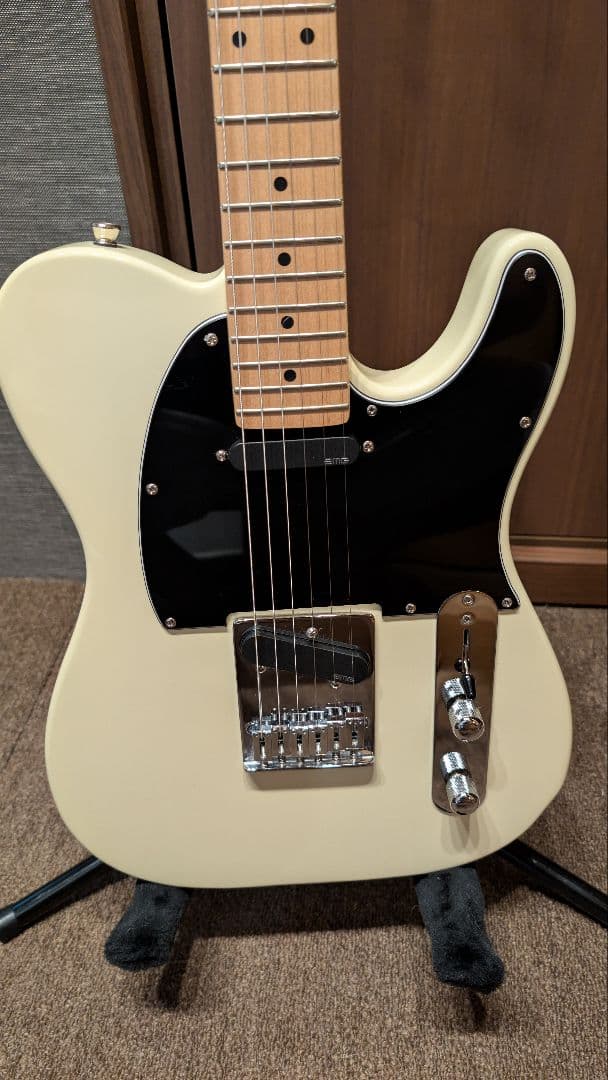 【本体ジャンク】Bacchus BTE-1M ＋EMG/GOTOH製パーツ