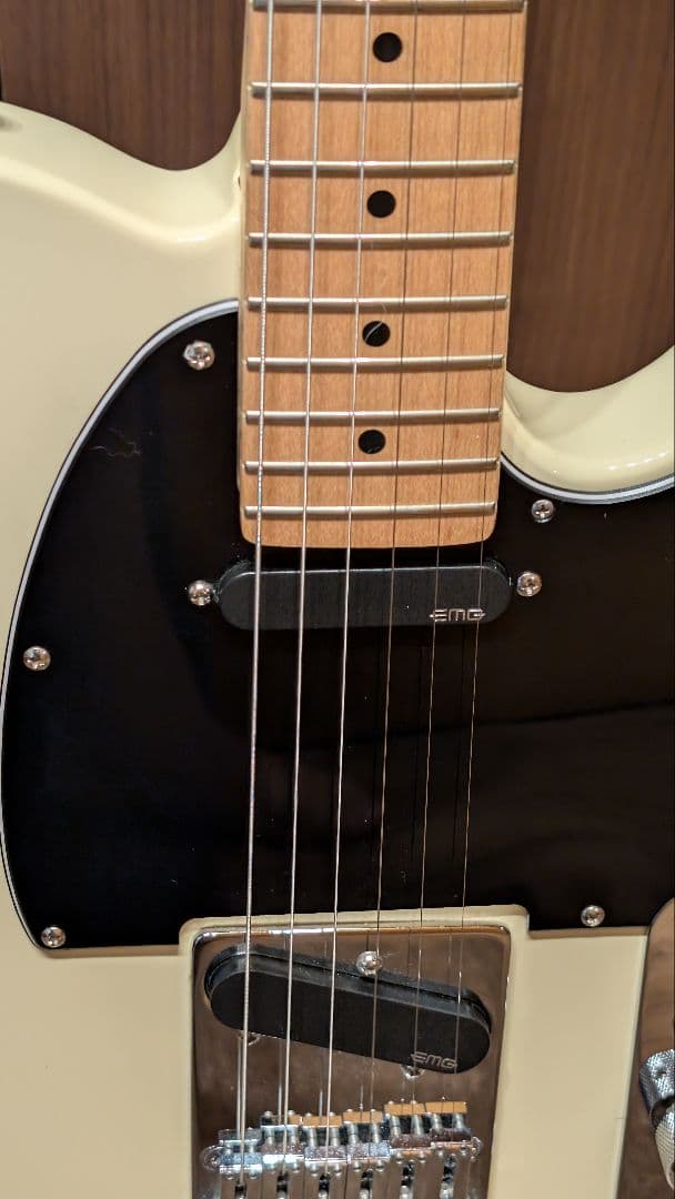 【本体ジャンク】Bacchus BTE-1M ＋EMG/GOTOH製パーツ