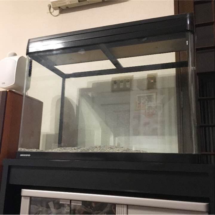 NISSO 90×60×45 曲げガラス 水槽 ୨୧⑅*