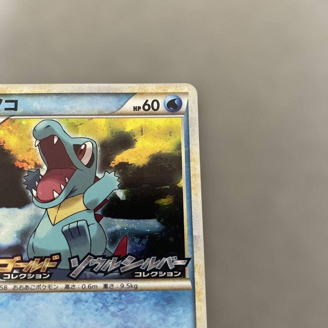 ポケモンカードゲーム　ワニノコ　ランダムプレゼントキャンペーン プロモカード