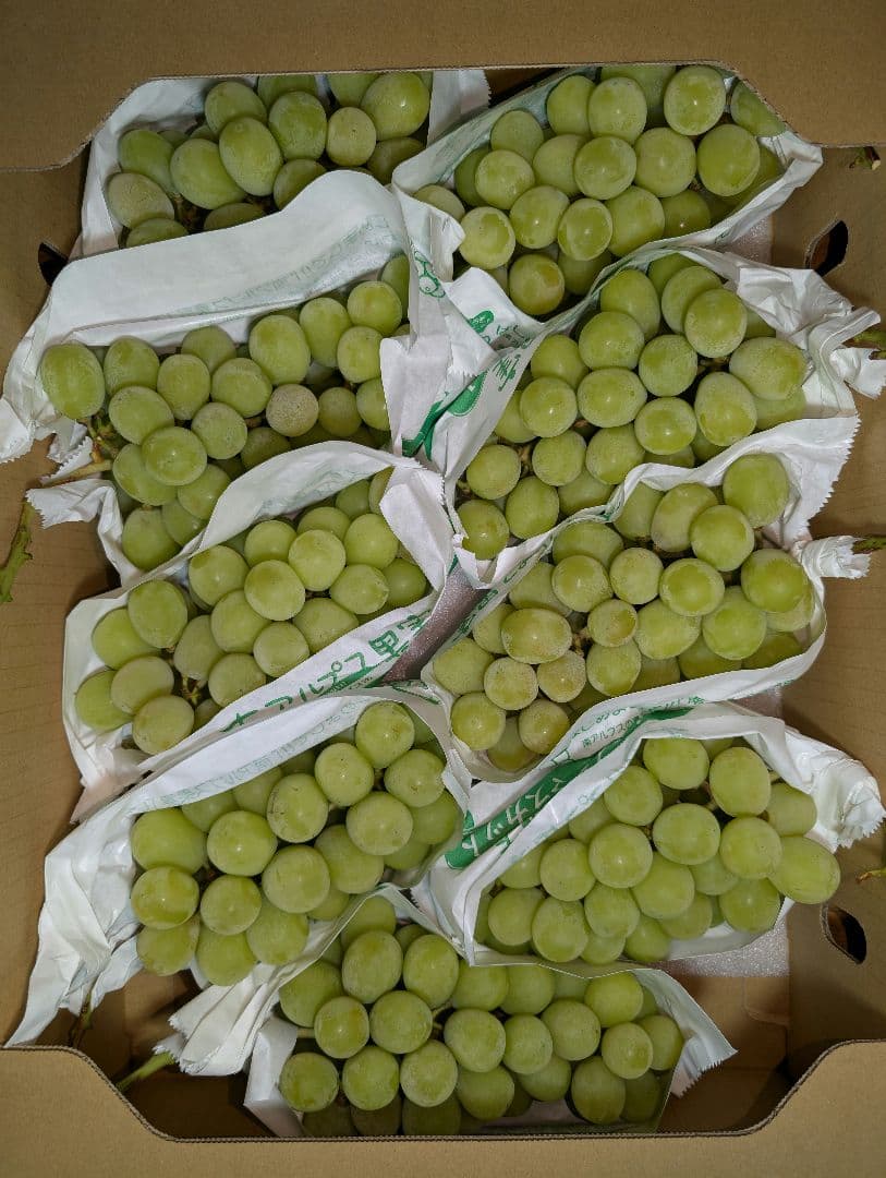 山梨県産ぶどう　シャインマスカット　9房入り箱込み約5.7kg