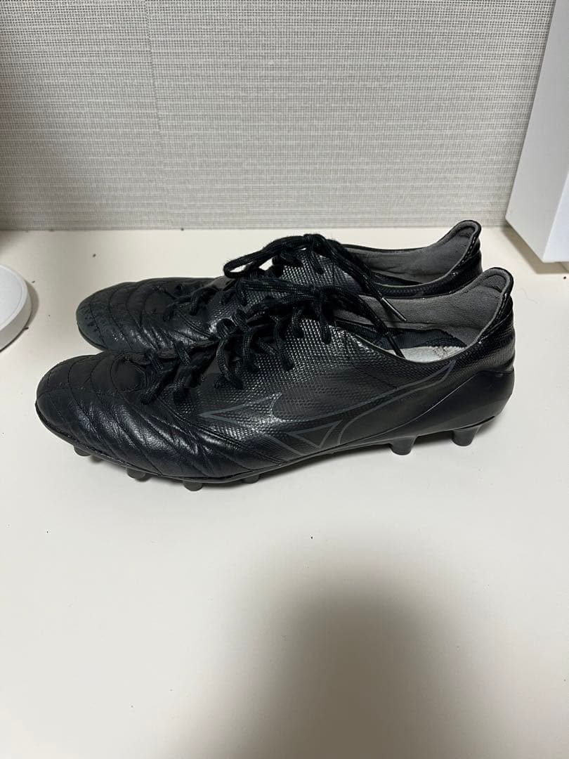 モレリアネオ2Japan