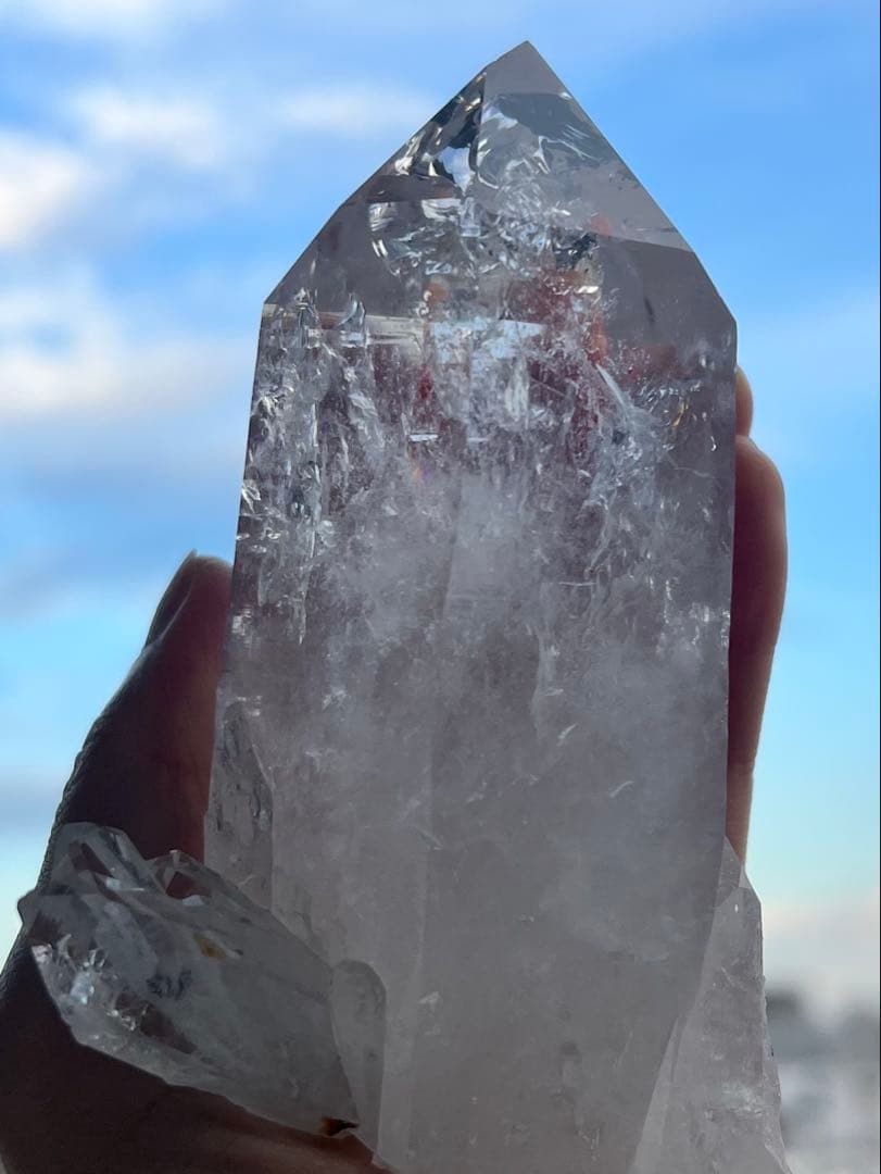 美✨超希少✨AAAAA 特大 コロンビアレムリアン✨my collection✨