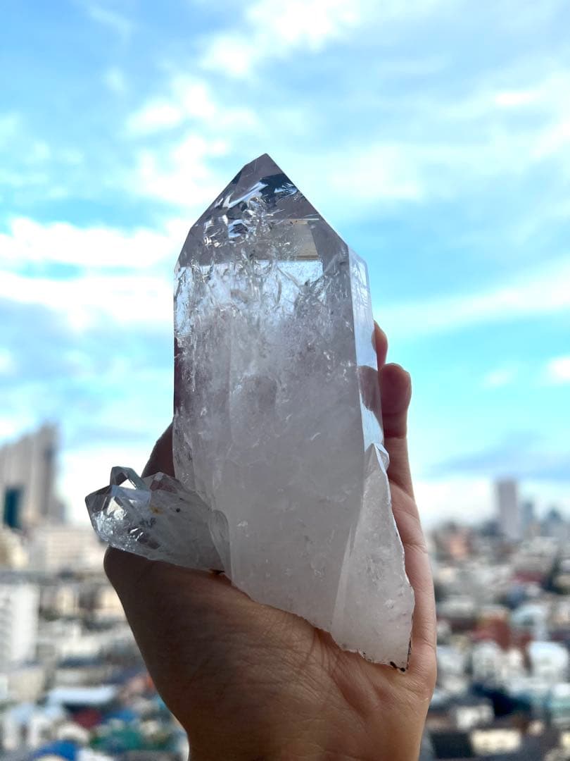 美✨超希少✨AAAAA 特大 コロンビアレムリアン✨my collection✨