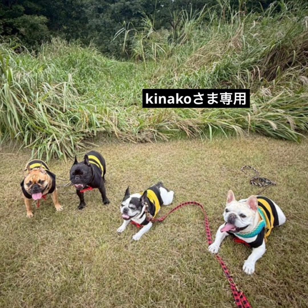 kinakoさま専用