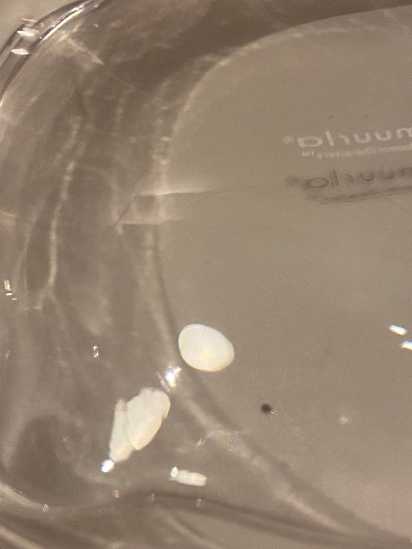 モラン ガラスジャー muurla