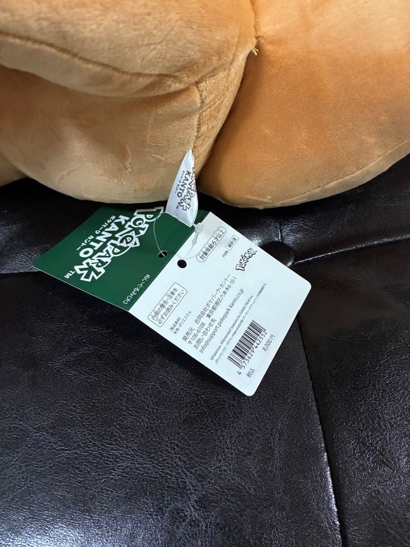 【新品タグ付き】ポケパークカントー限定品　ピカチュウ イーブイ ぬいぐるみセット