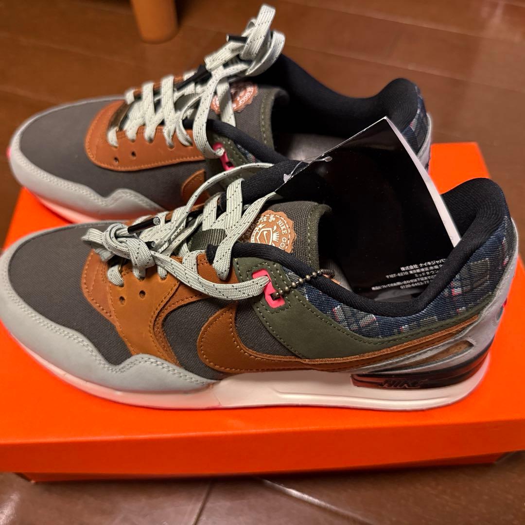 NIKE エアペガサス89 25.0cm