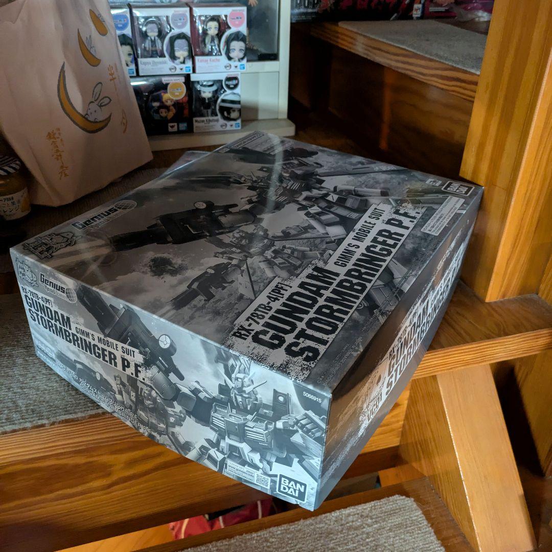 ガンプラ 未組立 MG ガンダムストームブリンガー P.F. ジムタービュレンス