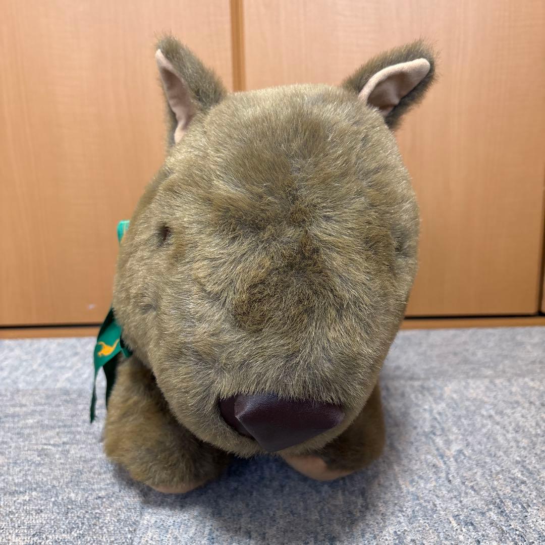 ウォンバット　ぬいぐるみ