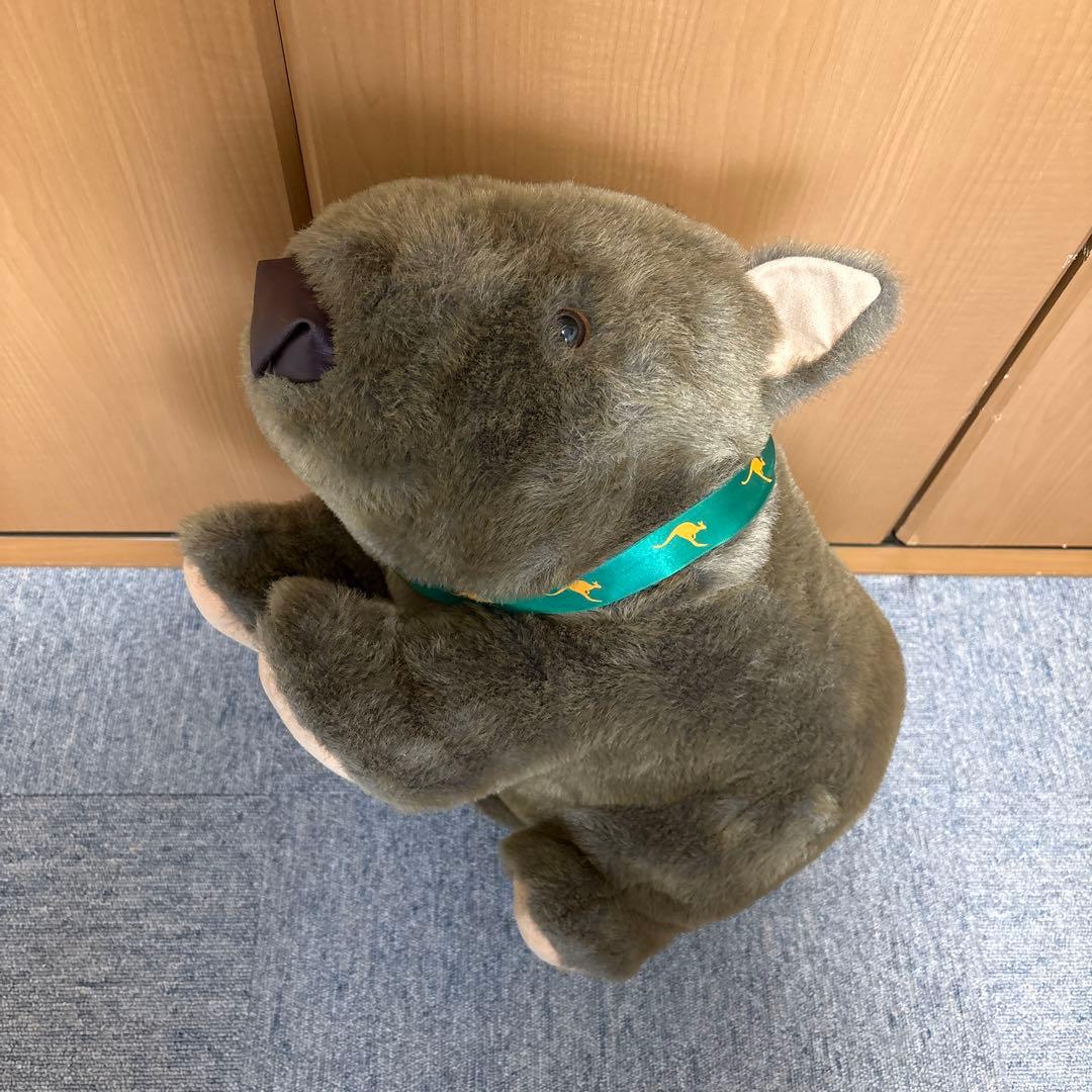 ウォンバット　ぬいぐるみ