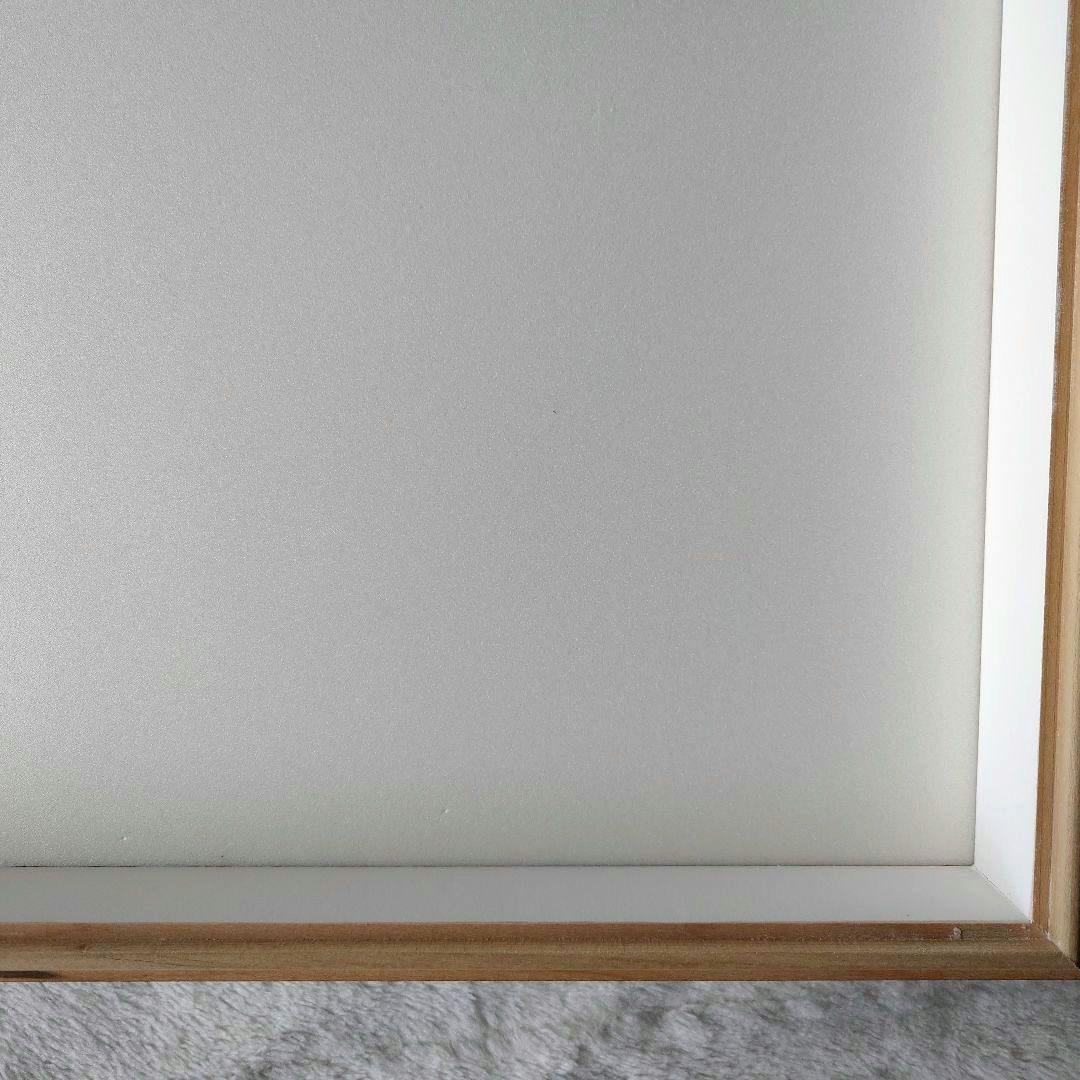 む*ー様 中野製作所　大型ドイツ箱　標本箱　中古　約42×51×6　⑤