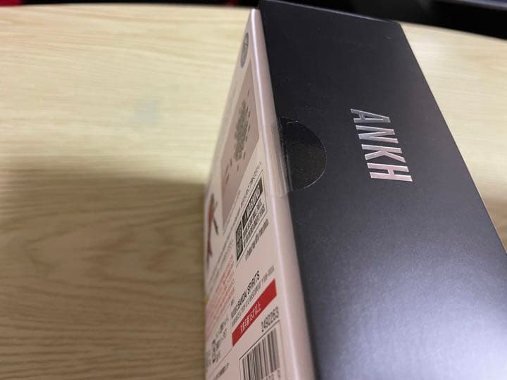 【新品未開封】真骨彫 アンク & アンク（人間態）2点セット