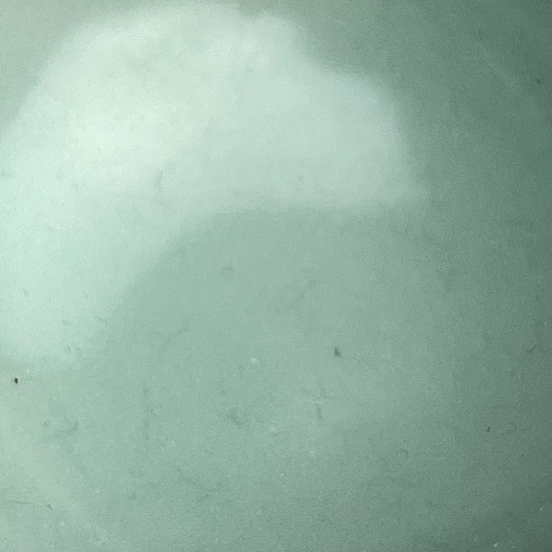 青磁如意紋板沿洗 唐物 中国古玩 中国美術 A923