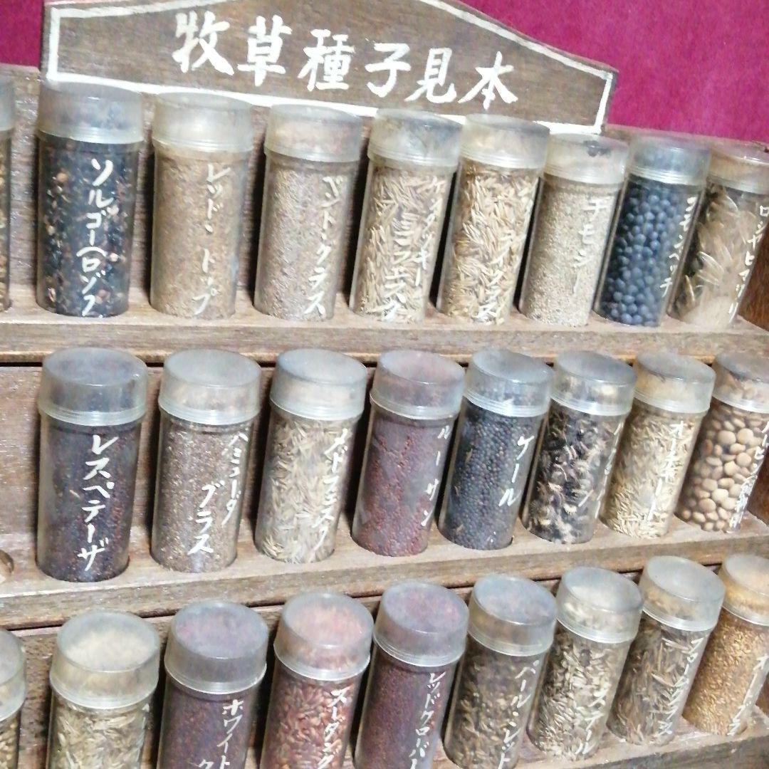 牧草種子見本　見本棚　昭和レトロ