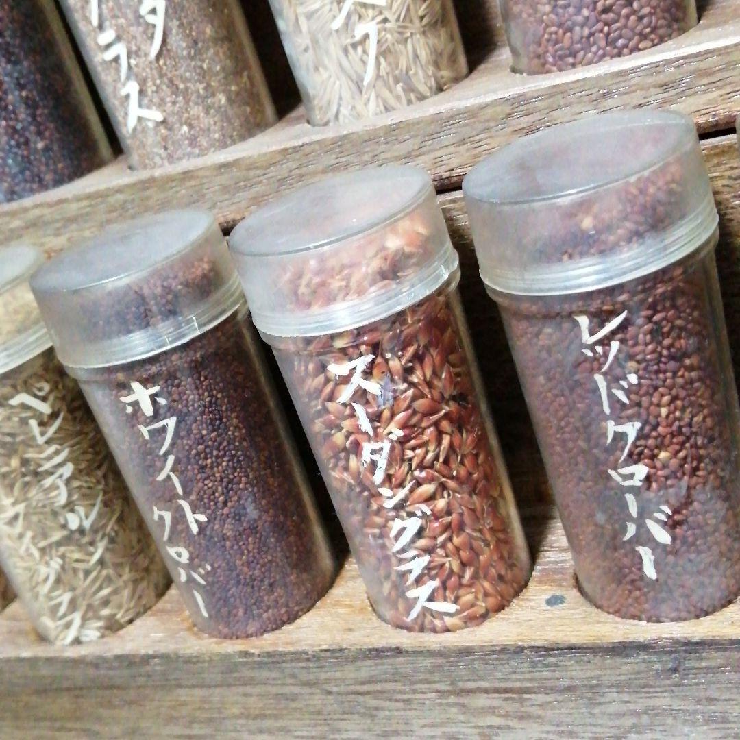 牧草種子見本　見本棚　昭和レトロ