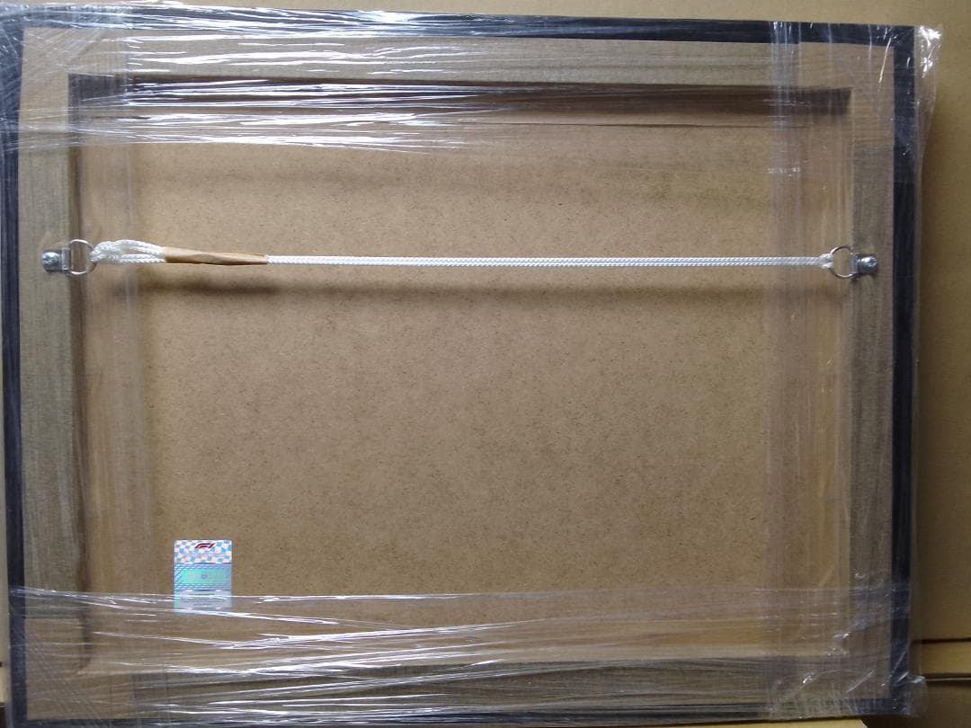 ハッキネン マクラーレンメルセデス MP4/13 実車カウルパーツ額装品