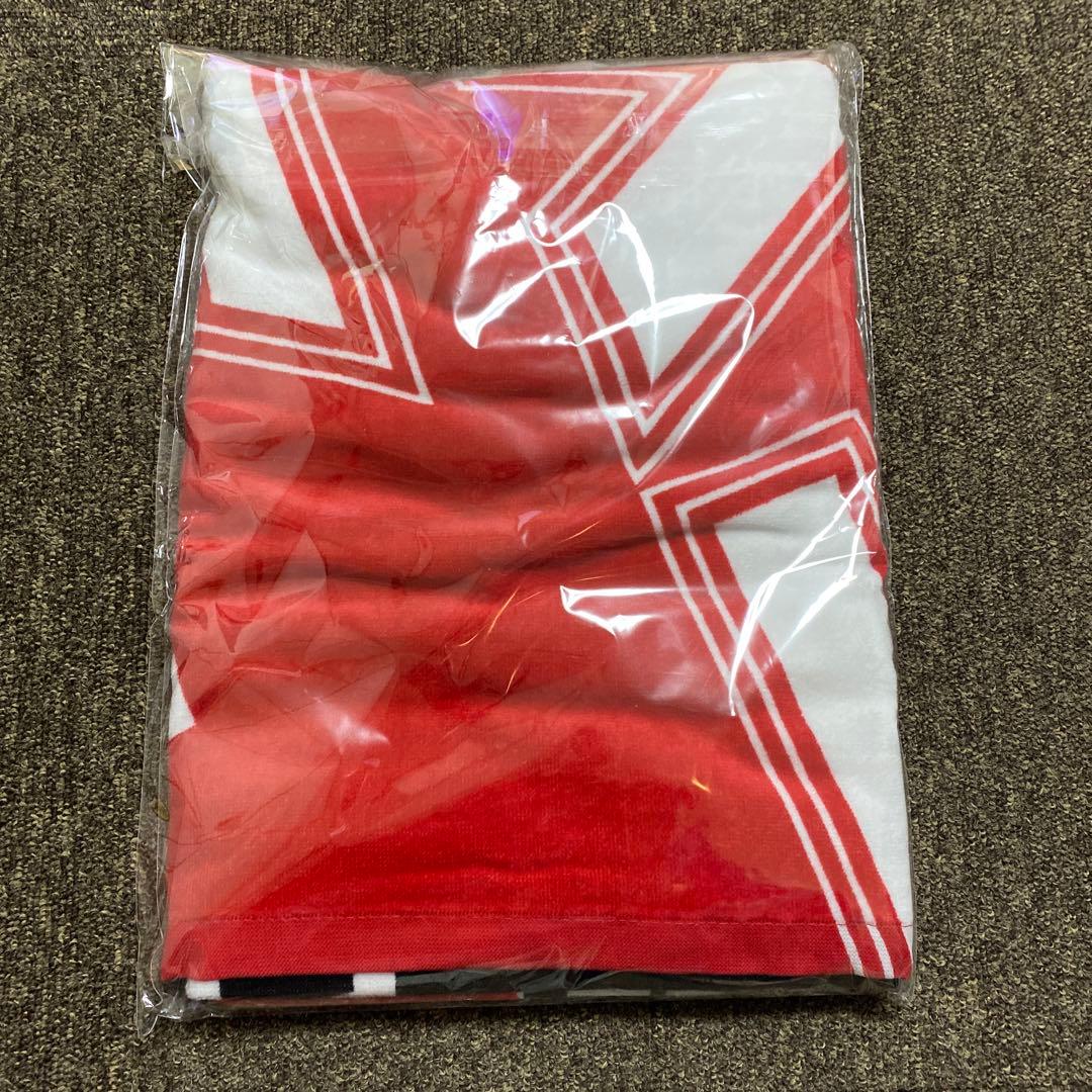 矢沢永吉　2025東京ドームライブPSS席記念タオル&グッズ