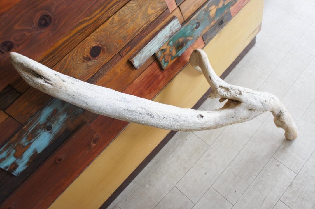 送料無料 流木 インテリア 大型サイズ オブジェ　飼育ケージ　登り木　爬虫類