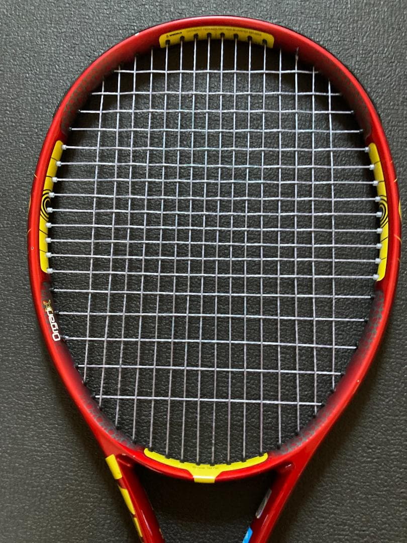 フォルクル オーガニクス 8 2011年モデル VOLKL Organix 8