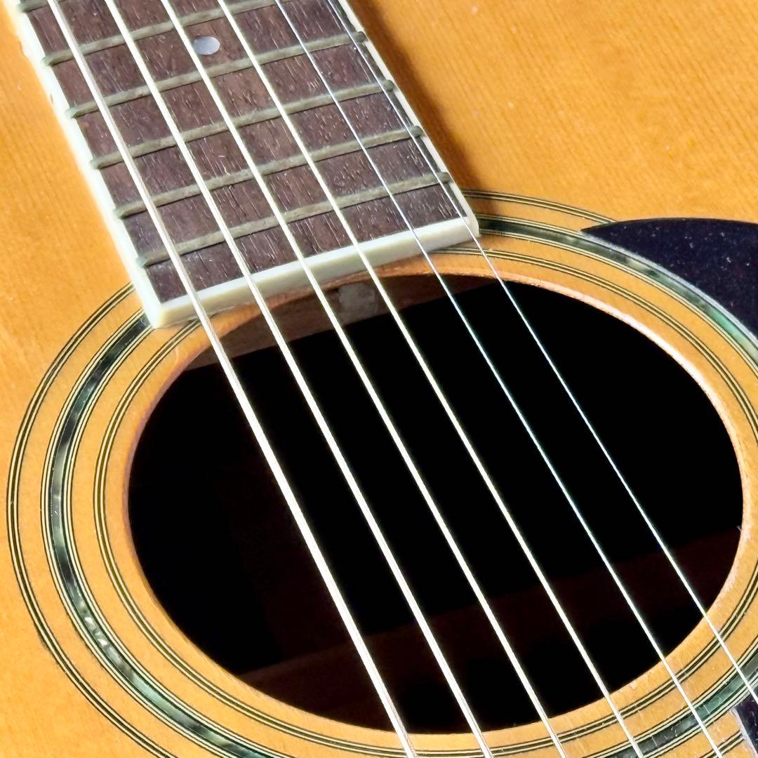 Morris W-35 ヴィンテージアコギ