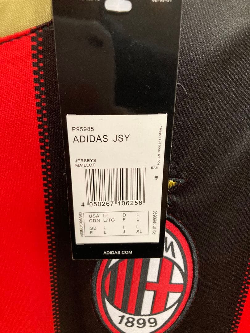 10-11 セリエA ACミラン イブラヒモビッチ （H）