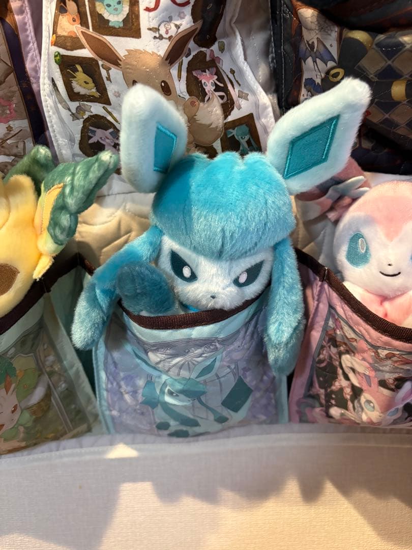 ポケモン　Eevee Collection 9匹➕ウォールポケットセット