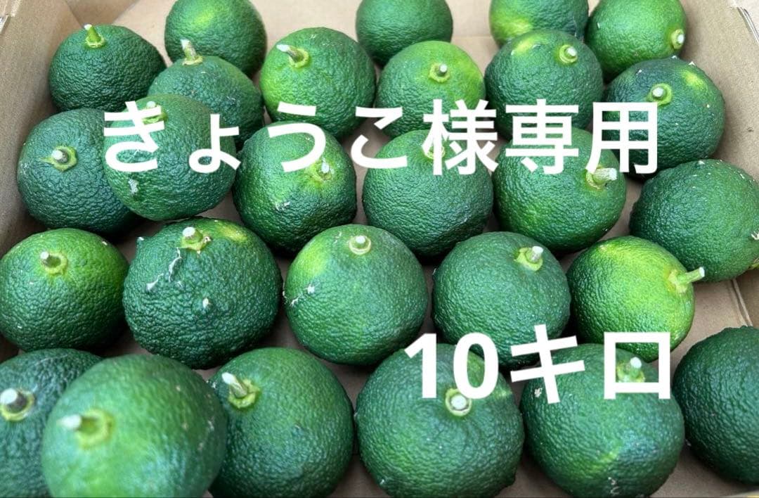 採れたて　京都産　小振り　青柚子　花柚子　農薬不使用　10キロ