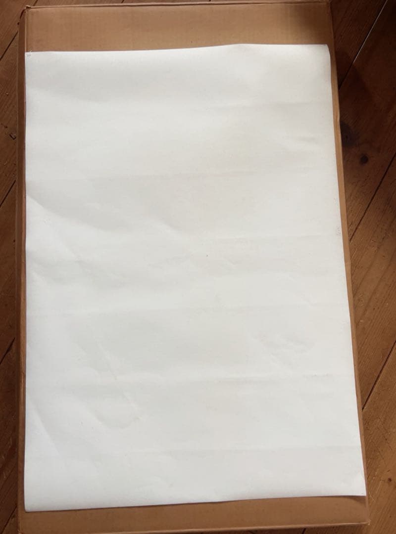 シャルロッテ・サロモン（Charlotte Salomon）