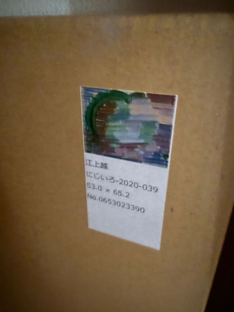 真作　江上越　Etsu Egami 現代アート　にじいろ　検　井田幸昌　Kyne