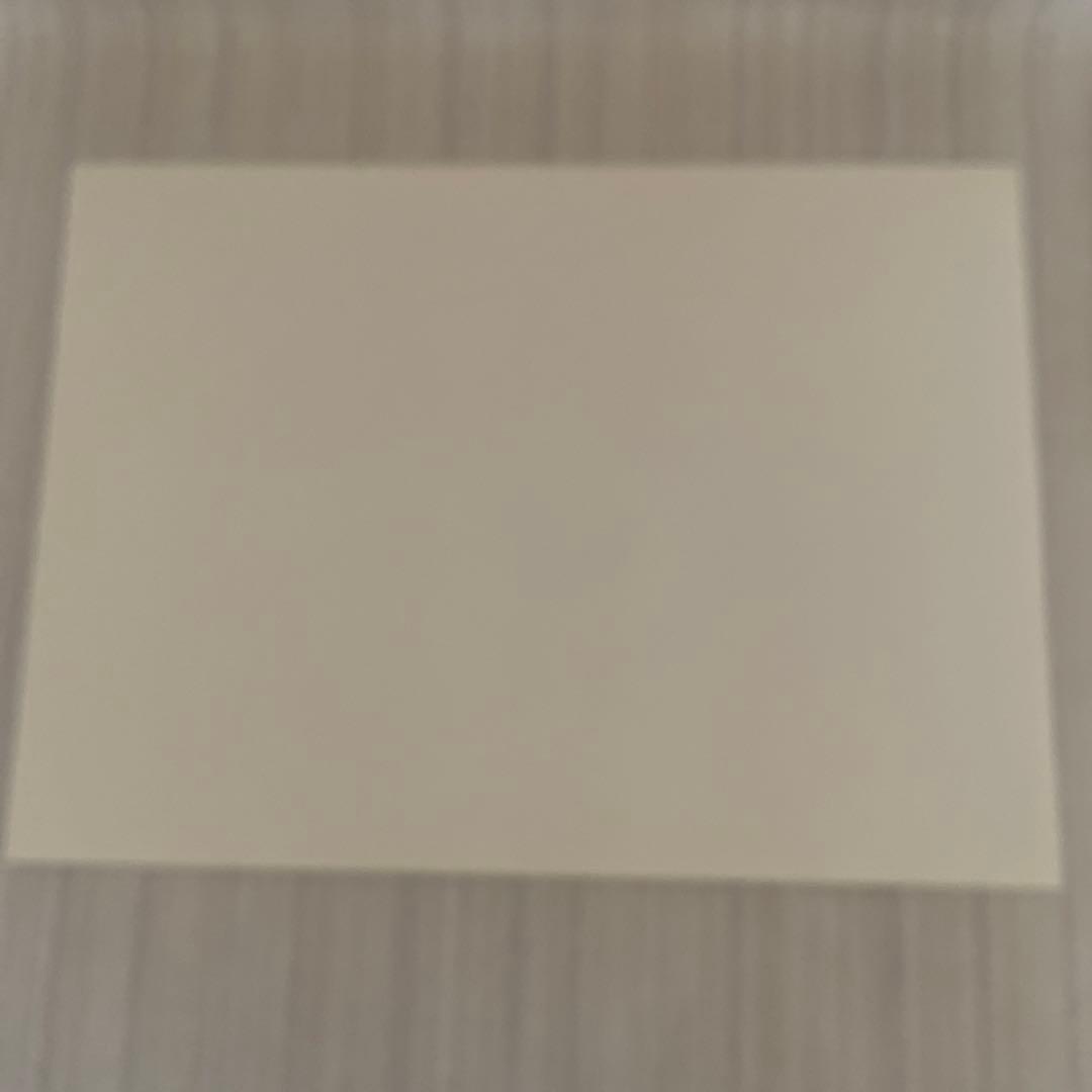 栗谷川 健一 ⭐️春楡（はるにれ）・木の飾り物 ☆贈呈品 版画