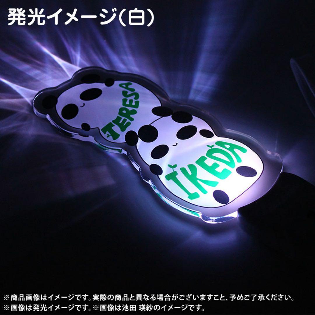 乃木坂46 遠藤さくら 2026年 福袋 Luckybag ペンライト