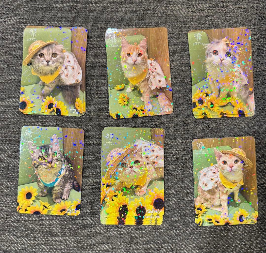 【バラ売り可】にゃんずトレカ松本店 2025