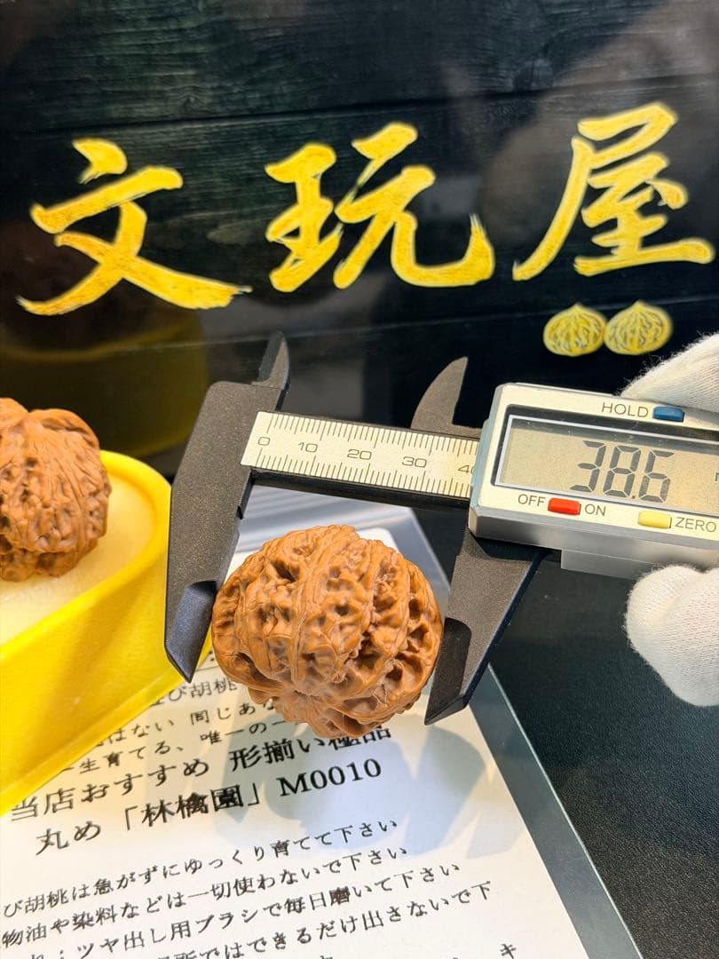 遊び胡桃 林檎園 M0010 形揃いの極品 コレクション 文玩