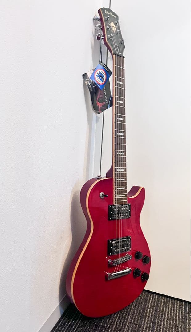 超美品　Washburn Electric Guitar WinProFTR