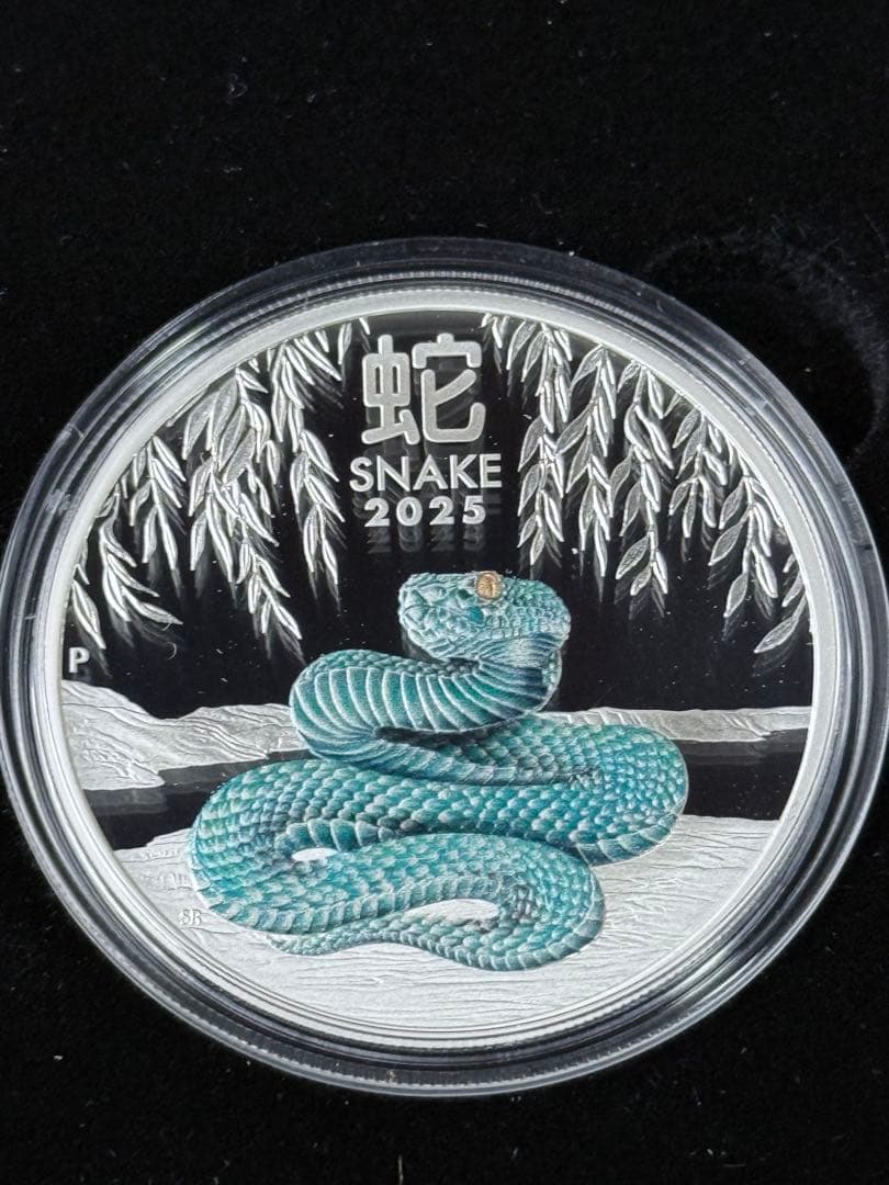 各国 2025年 巳年蛇図 銀貨5種セット プルーフ