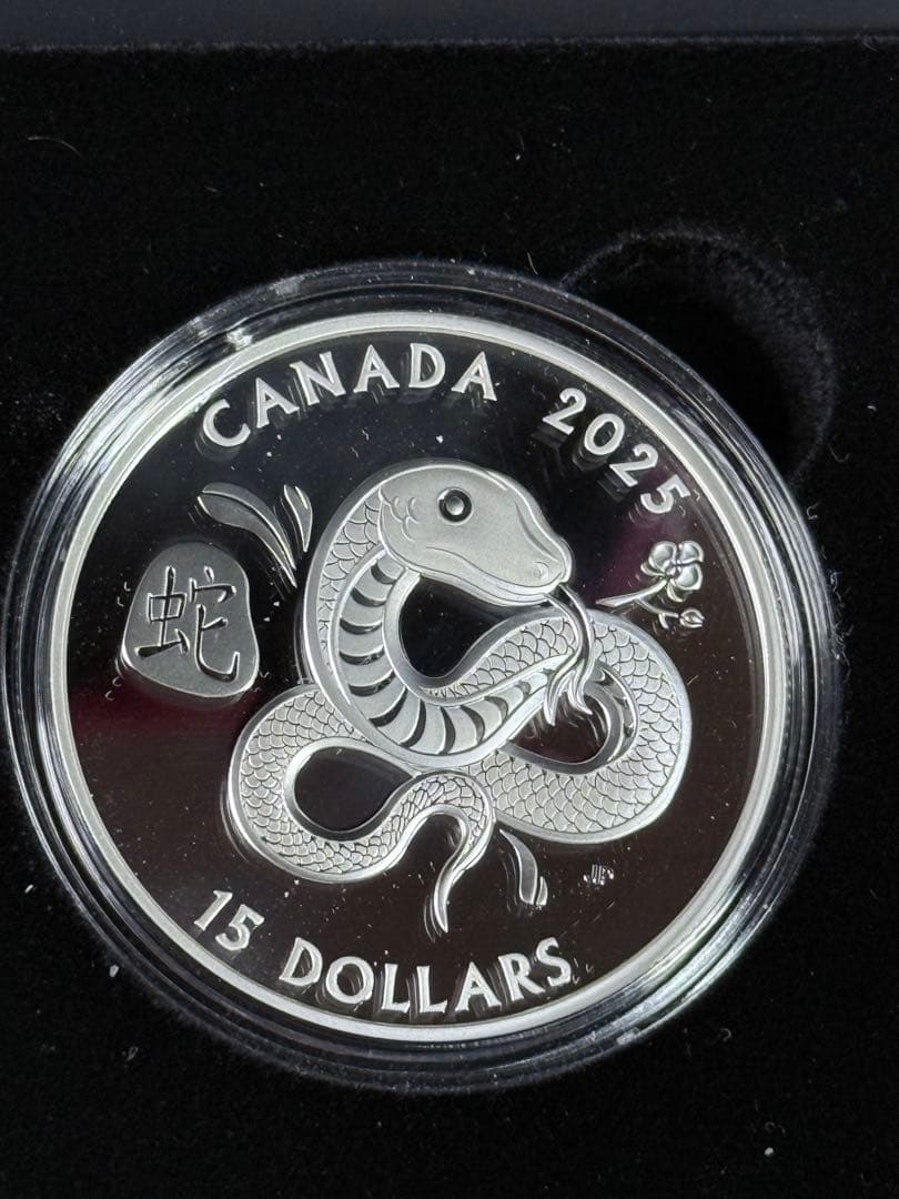 各国 2025年 巳年蛇図 銀貨5種セット プルーフ